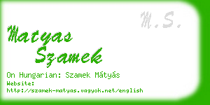 matyas szamek business card